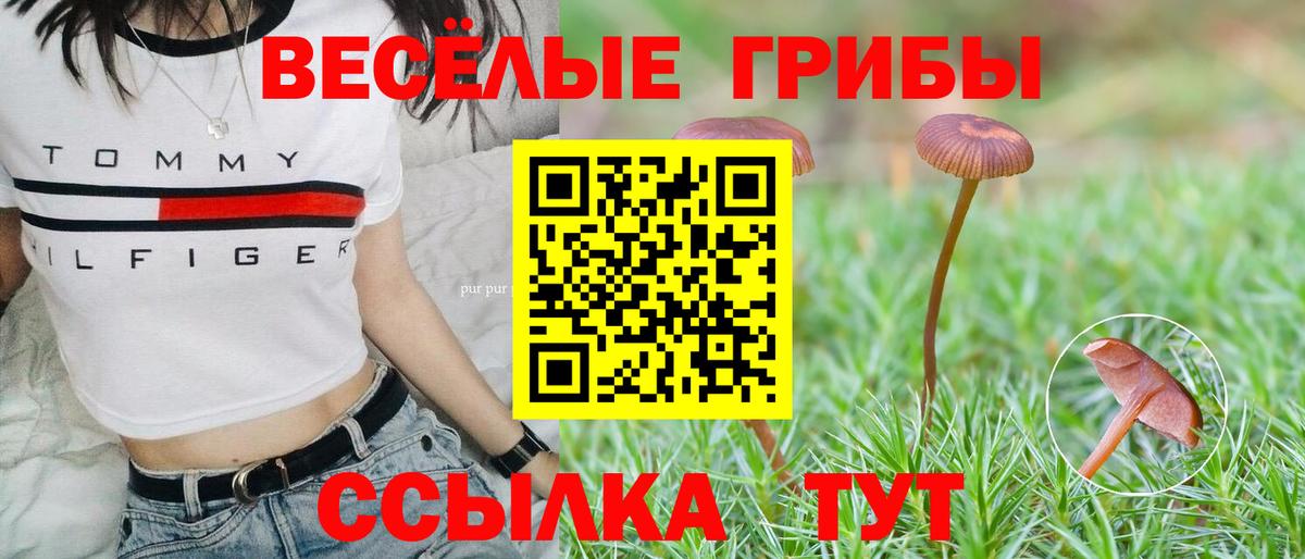 Псилоцибиновые грибы ЛСД  Псилоцибиновые грибы мухоморы  Шелехов  Вход с VPN 