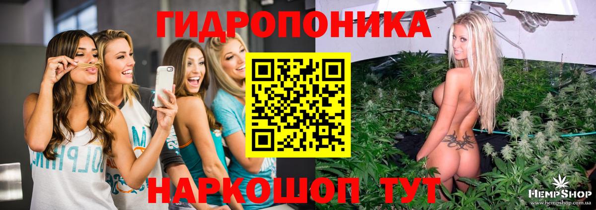 МАРИХУАНА SATIVA & INDICA Шелехов
